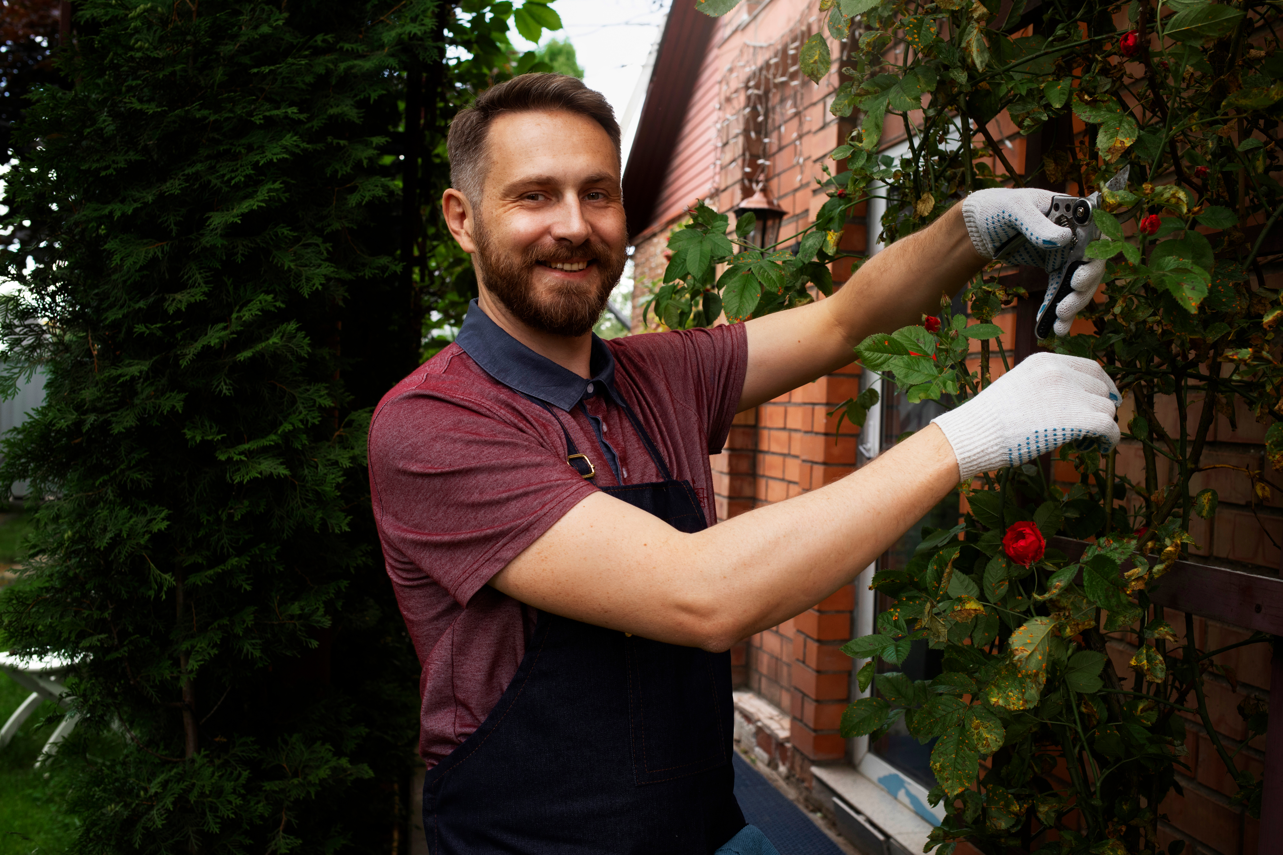 man in garden
